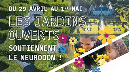 affiche_neurodon_2017-vignette.jpg