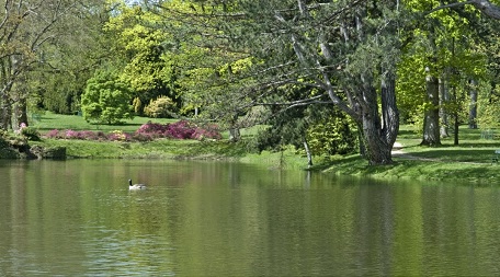 Parc de Courson