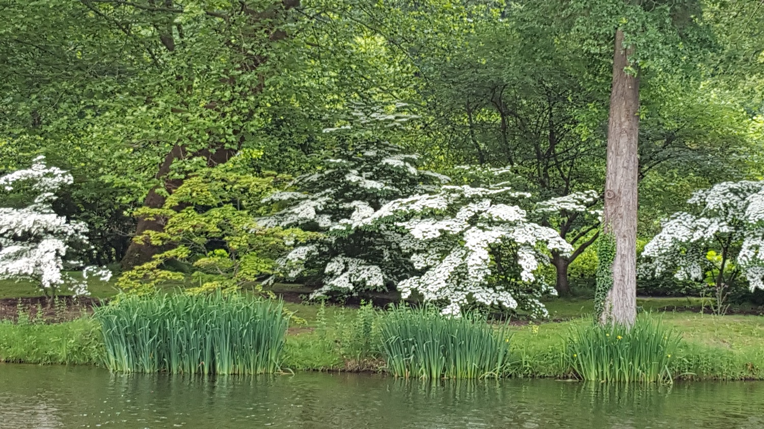 Parc du domaine de Courson (91)