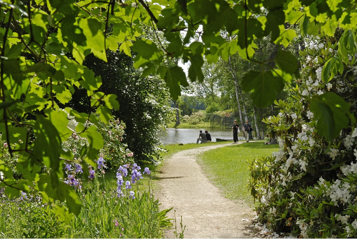 Parc du Domaine de Courson
