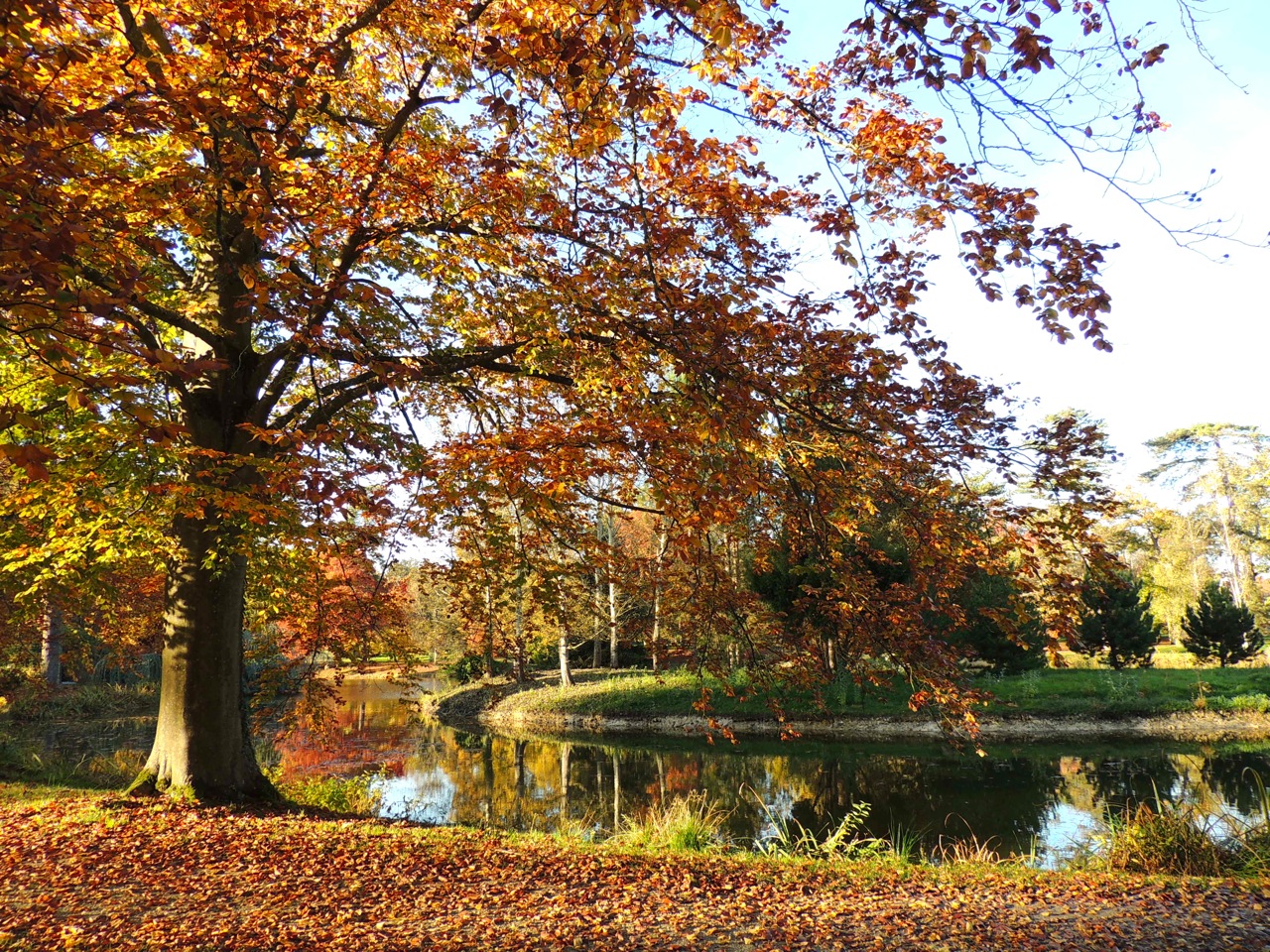 Automne au domaine de Courson