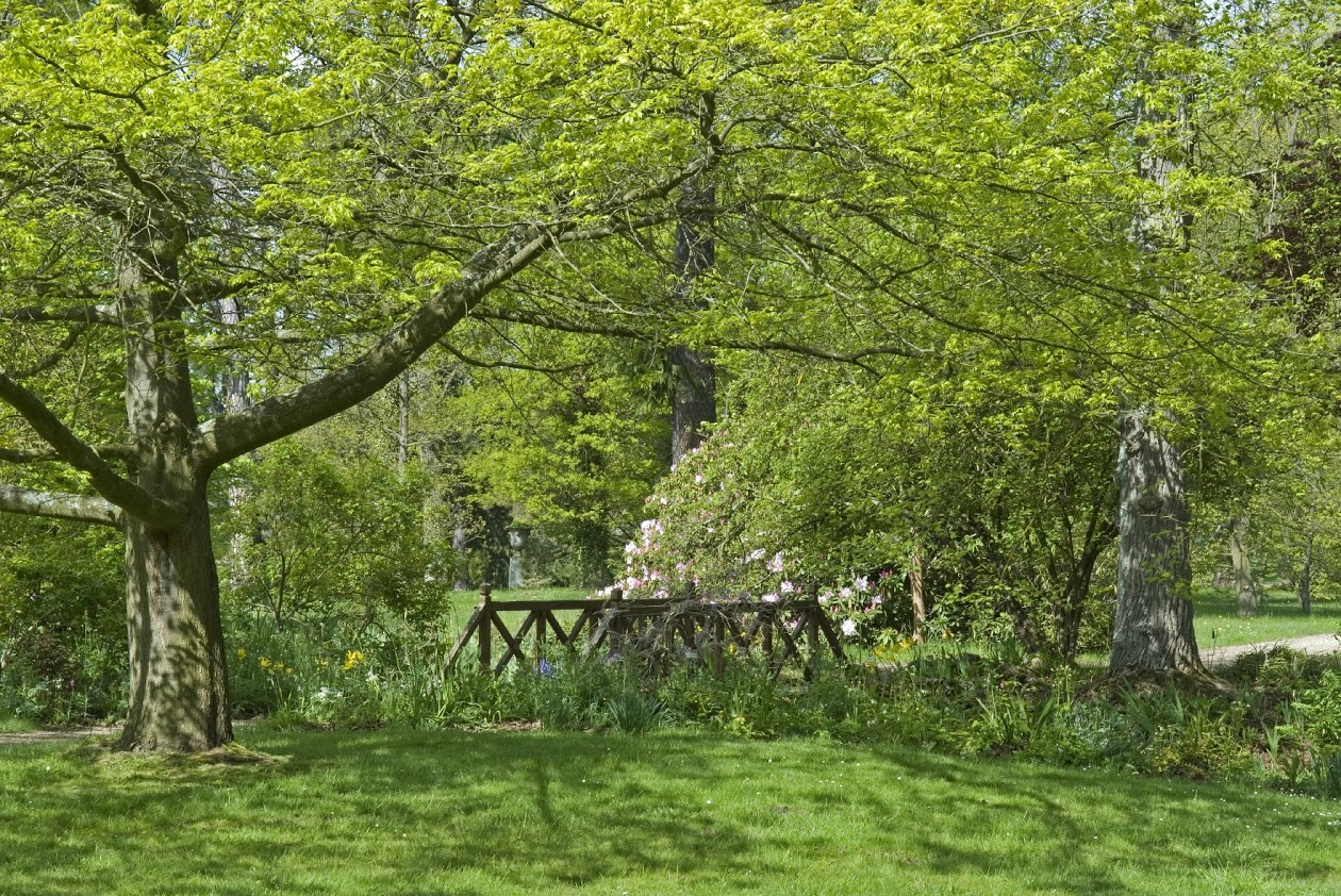 Parc du domaine de Courson