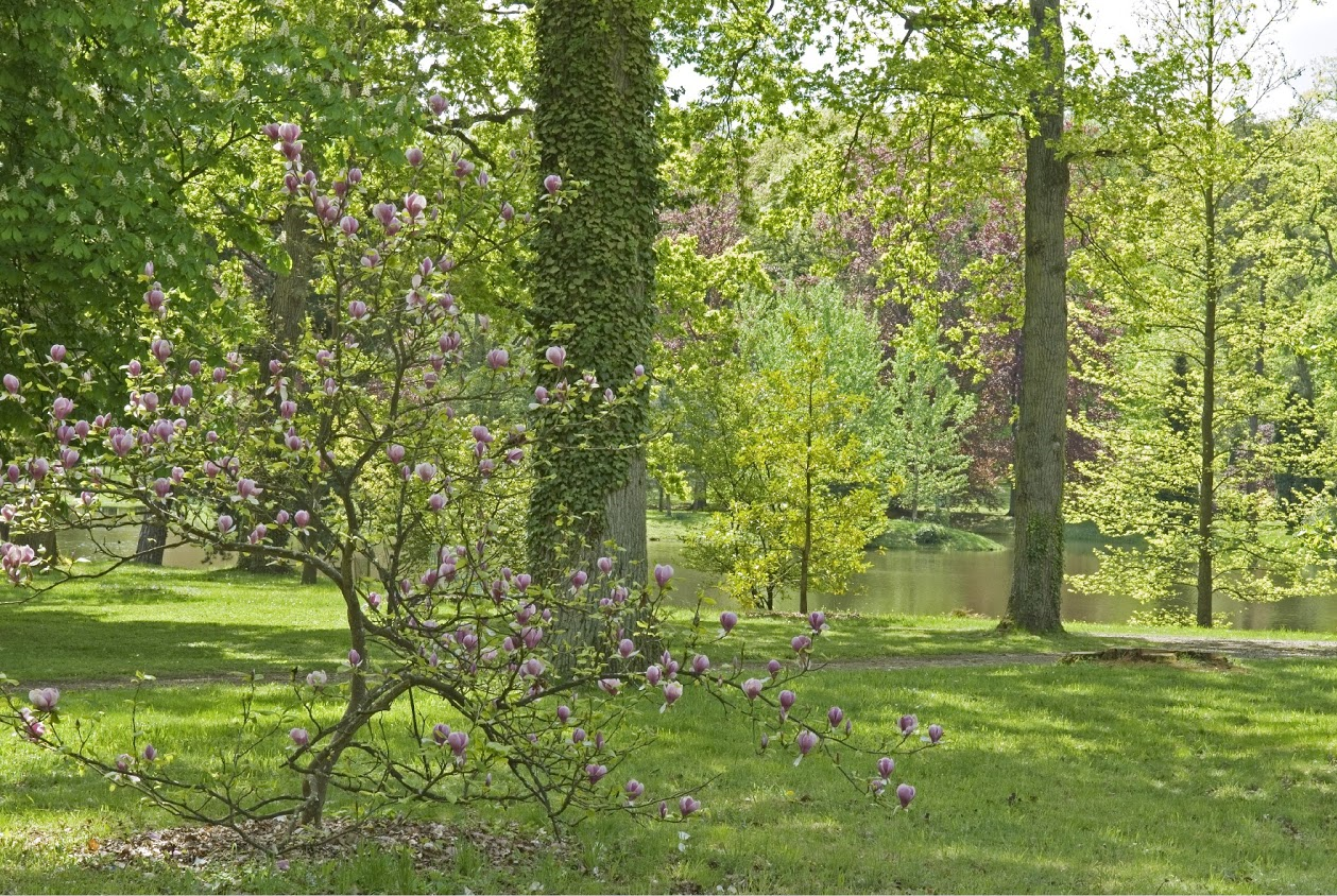 Parc fleuri du domaine de Courson