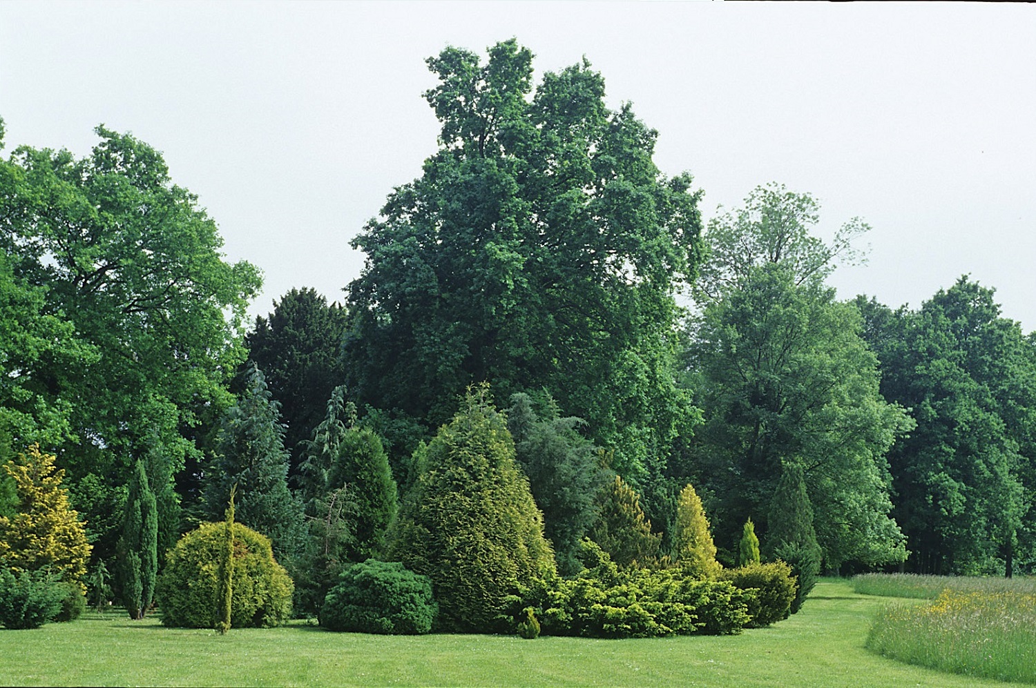 Parc du domaine