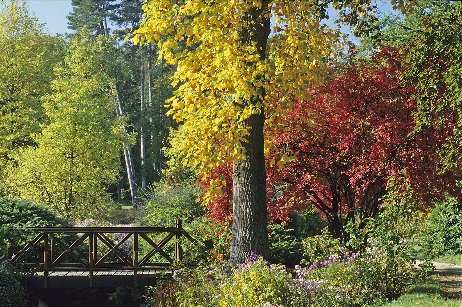 Parc coloré du domaine de Courson