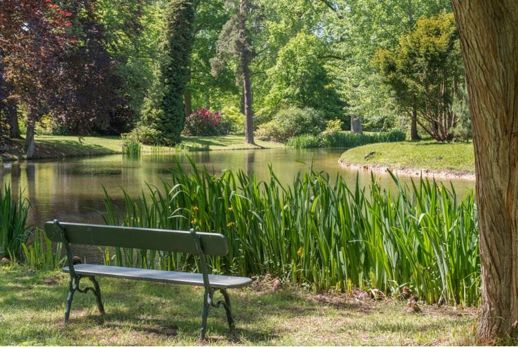 Parc paisible du château du domaine de Courson