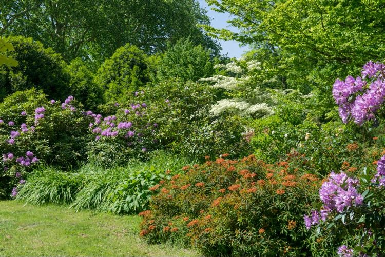 Parc du domaine de Courson