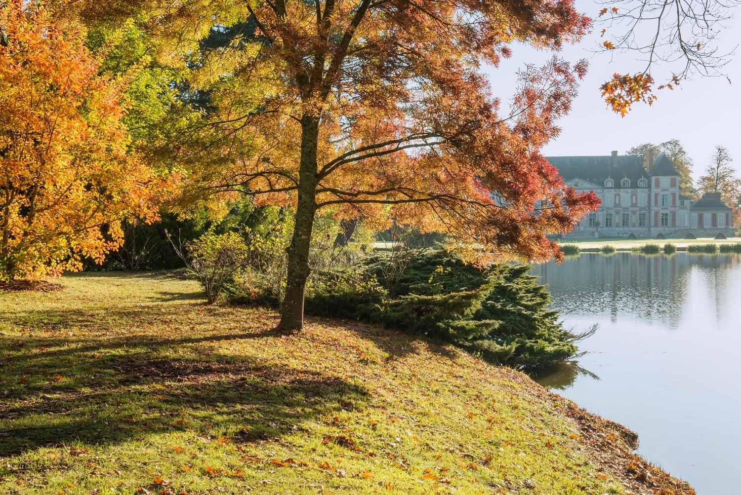 Parc ensoleillé du domaine de Courson