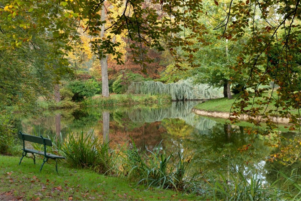 Le calme dans le parc du domaine de Courson