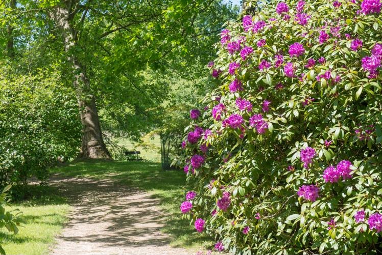 Parc du domaine de Courson