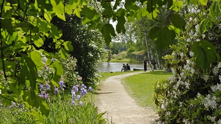 Petit chemin de promenade dans le parc du domaine de Courson